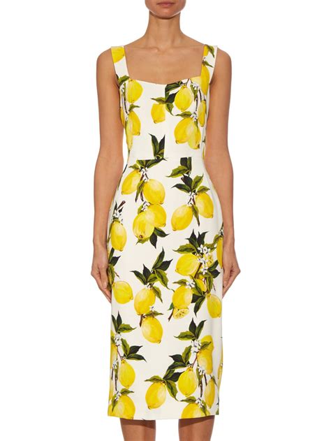 dolce gabbana lemon print|dolce and gabbana lemon dress.